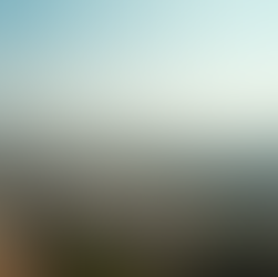 Why Udaipur Commerce Students Should Choose ACCA as Their Ideal Course