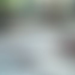 10 Essential Lessons I Learned Before Starting ACCA