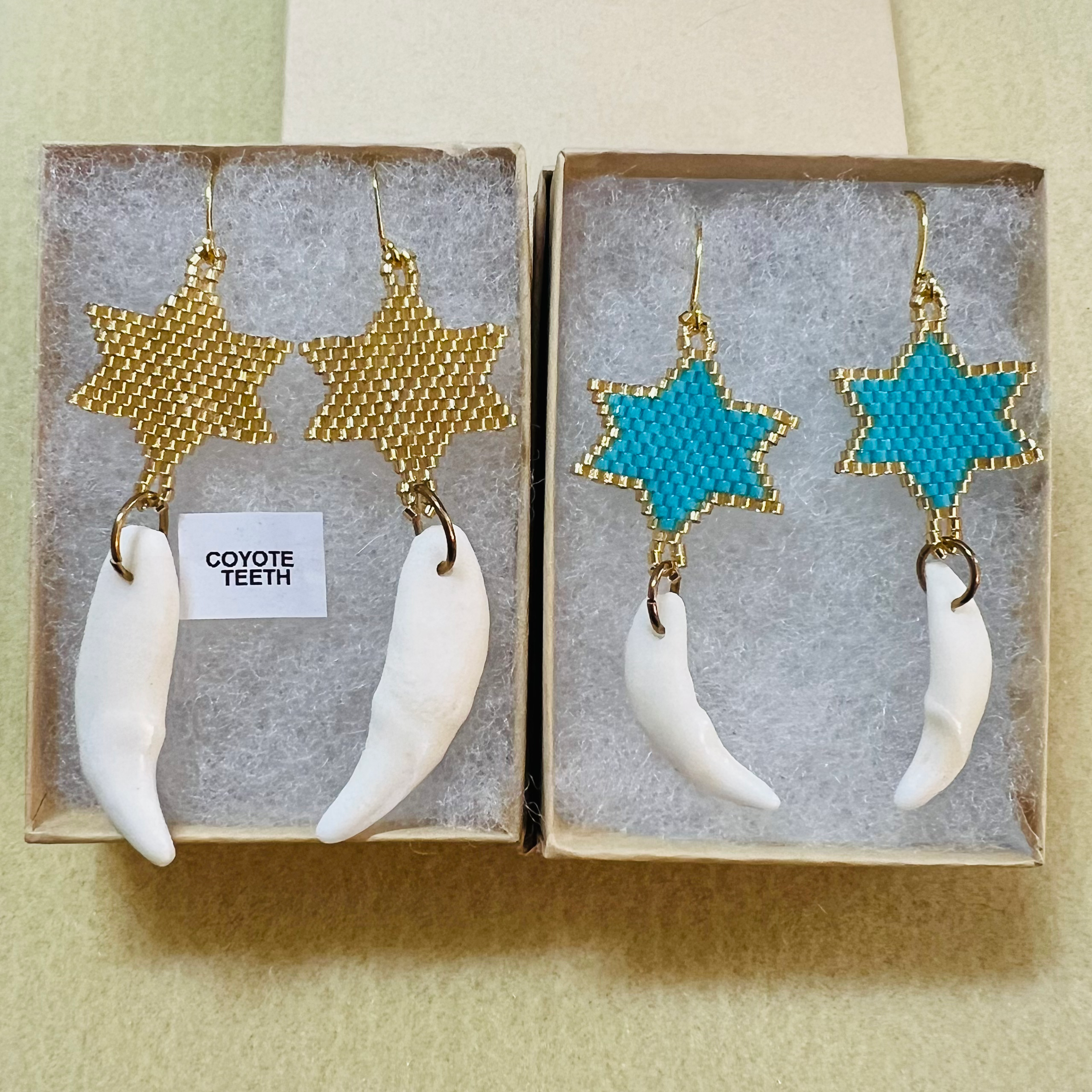 Star Coyote Tooth Earrings (3 varieties)