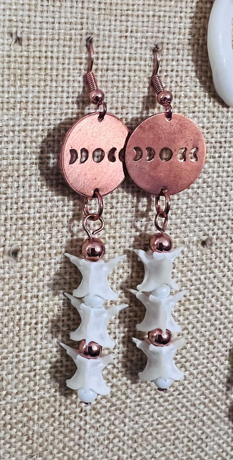 Thumbnail: Vertebrae, Teeth and Bones (Roadkill-sourced)