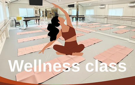 wellnessclass.png