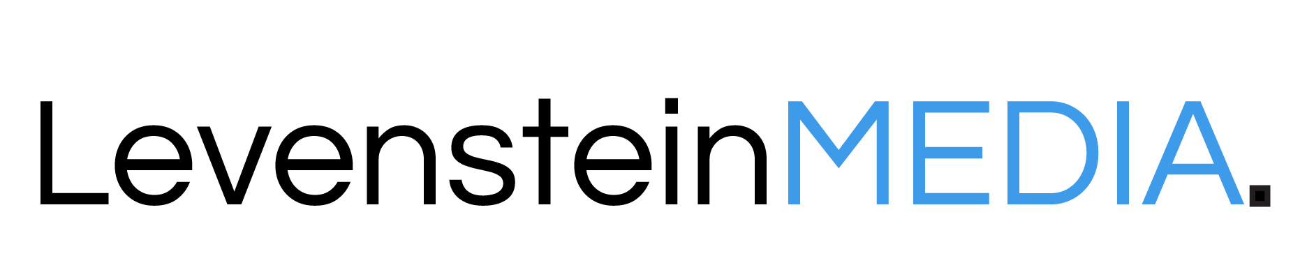 Levenstein Media logo