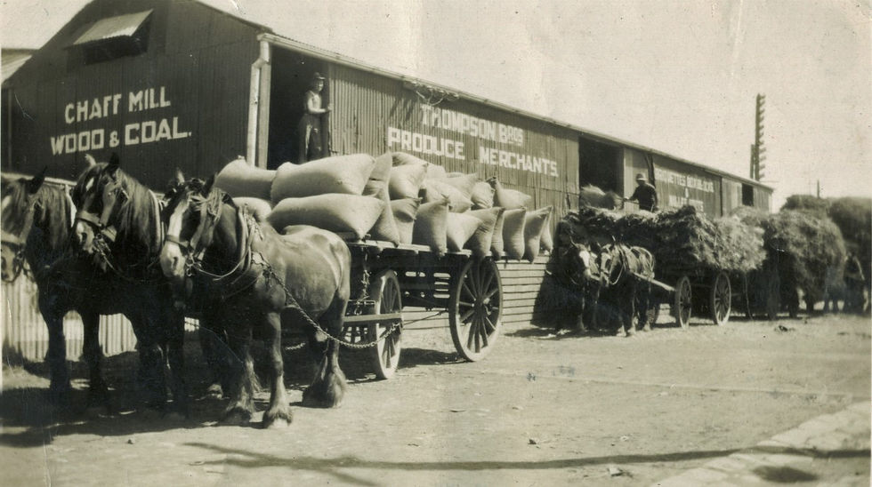 Thompson Bros. General Merchants and Chaff Mill.