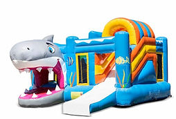 REQUIN NOUVEAU.jpg