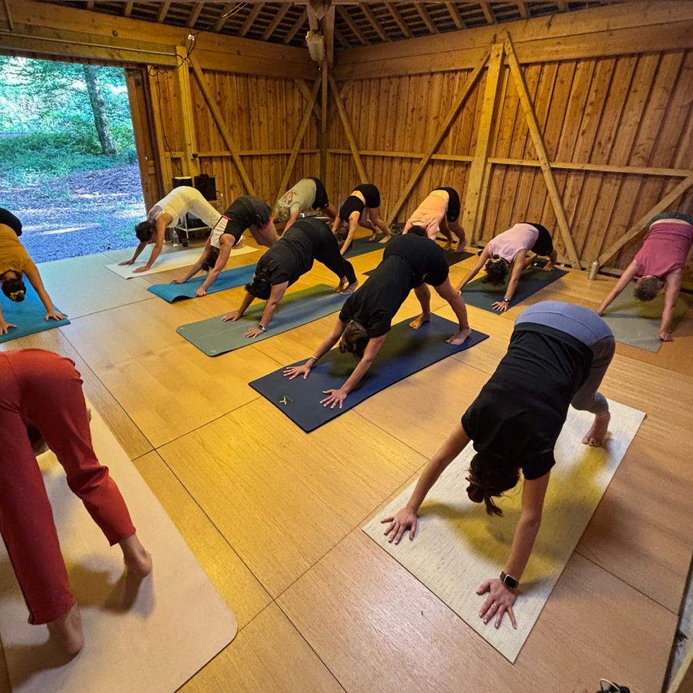 Ashtanga Yoga / SESSION REGULIERE
