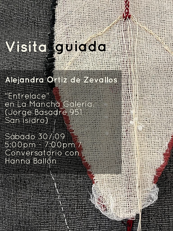 visita guiada la mancha.png