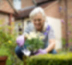 Gardening Kits for Seniors