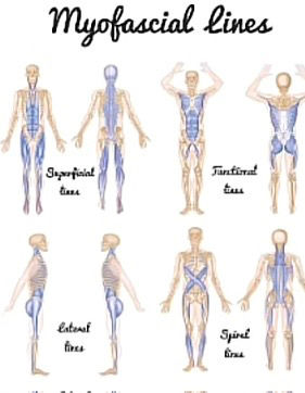 The Windsor Method Lipedema Routine