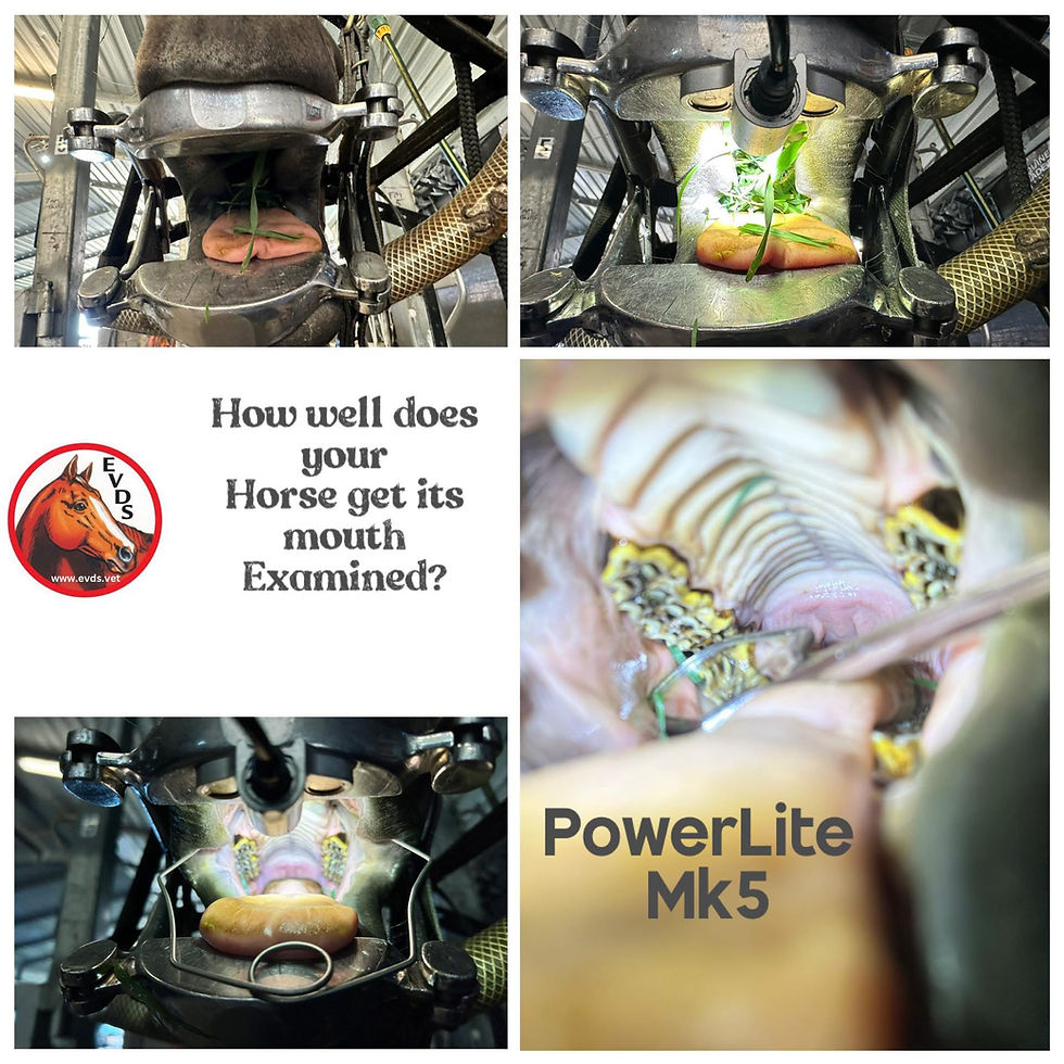 Thumbnail: Powerlite Mk5