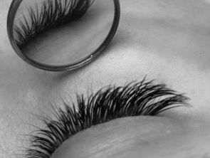 What Every Lash Client Should Know