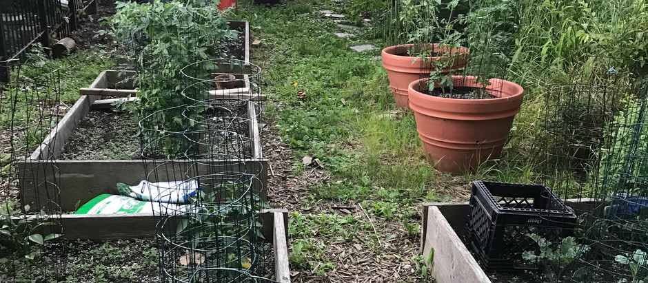 Gardening 101