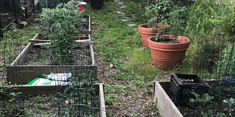 Gardening 101