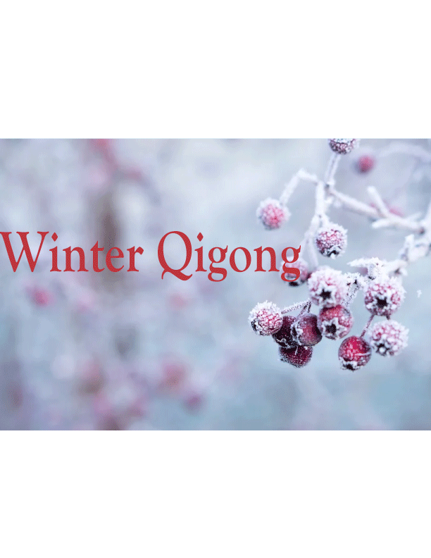 4 Seasons Qigong - "Winter Set"