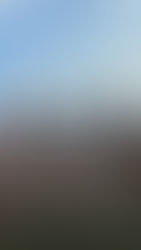 【11期生】高円宮杯JFAU-15サッカーリーグ2026千葉　TOPリーグ