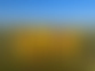 【11期生】高円宮杯JFA U-13サッカーリーグ2023千葉 2部