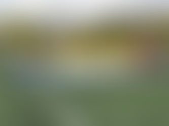 【11期生】2025-2026 第16回 千葉県クラブユース(U-15)サッカー連盟 U-14リーグ