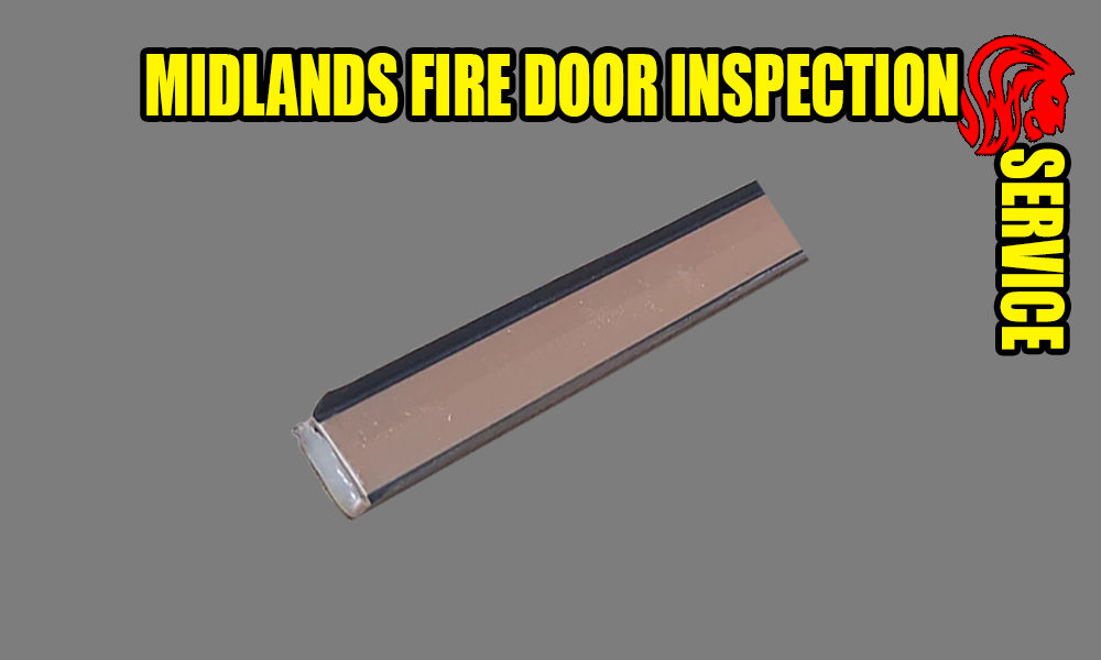 2100x10x4mm Dual Seal Brown
