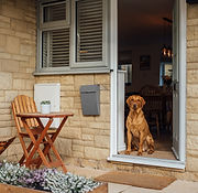 Eagle Cottage Airbnb-95.jpg