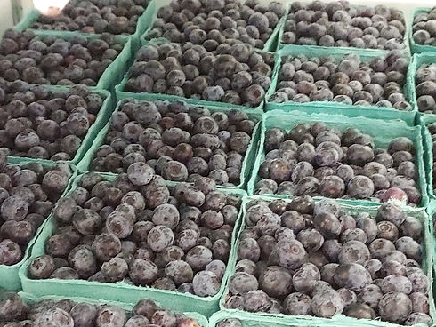 blueberries.jpeg