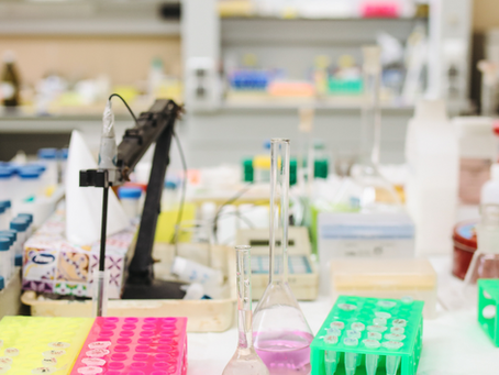 Six Tips To Doing Research On A Budget