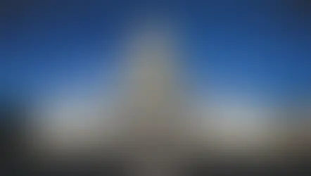 Government Shutdown Assistance