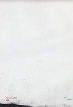 Couv_toro_flash.jpg