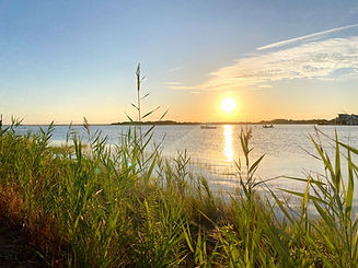 LBI Market Trends and Long Beach Island Real Estate Market Statistics