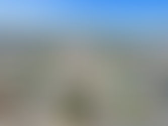 New Construction vs. Existing Homes on LBI: A 2025 LBI Real Estate Market Comparison