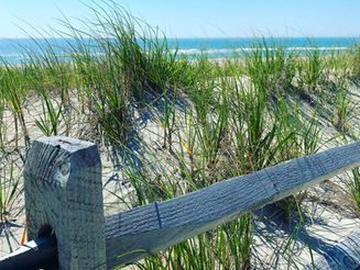 North Beach Haven Real Estate Market and LBI NJ Real Estate Market Home Sale Information — 2022 Year in Review