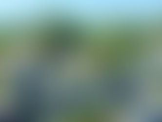 North Beach Haven Real Estate Market and LBI NJ Real Estate Market Home Sale Information — 2022 Year in Review