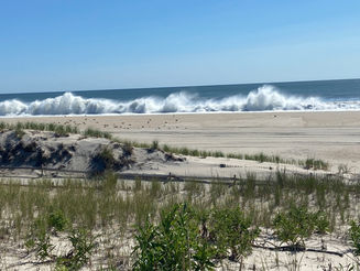 Why Home Appraisals and Inspections Matter in Today’s LBI Real Estate Market