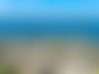 LBI Real Estate Market Update: Sales and New Listings Over the Past 12 Months