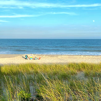 LBI Real Estate Market Conditions and Trends
