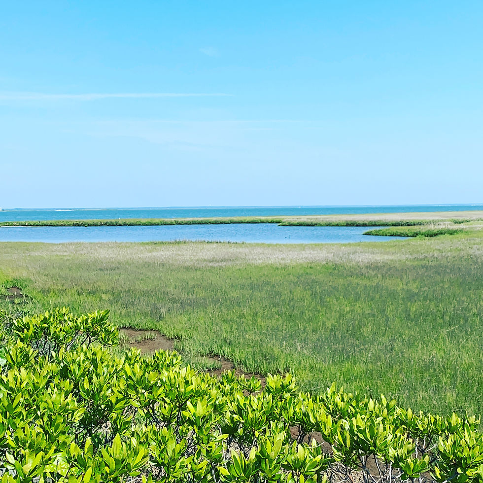 4 Ways to Make Your Offer Stand Out in the Long Beach Island Real Estate Market This Spring