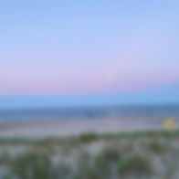 LBI Real Estate Market Information