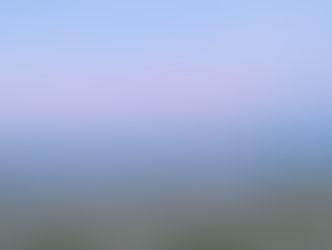 Information About Which LBI Town Had the Highest Average Sale Price in 2025 and Long Beach Island Real Estate Market Updates