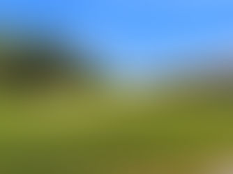 The Investment Potential of Greenbriar Oceanaire Real Estate