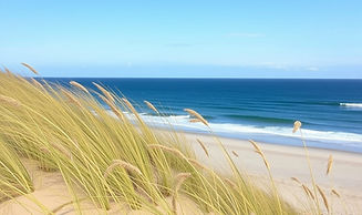 LBI Real Estate Mortgages and Loans