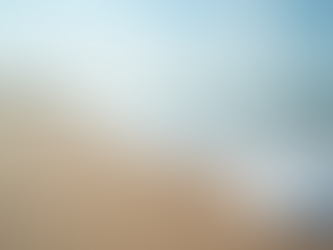 Life and Lifestyle in Long Beach Island, NJ