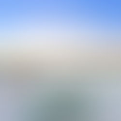 Haven Beach Real Estate Market Report — 2021