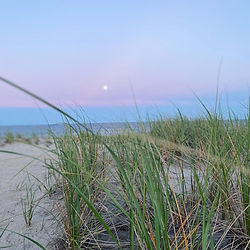 LBI Towns Long Beach Islnad Real Estate LBI NJ Real Estate Sales Market