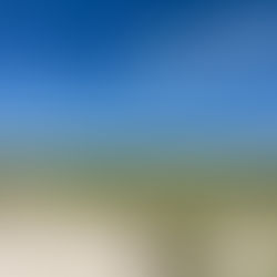 Harvey Cedars Real Estate Market Report — 2020