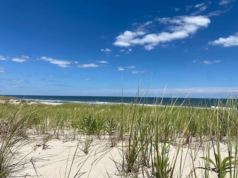 How to Pick an LBI Homeowners Carrier