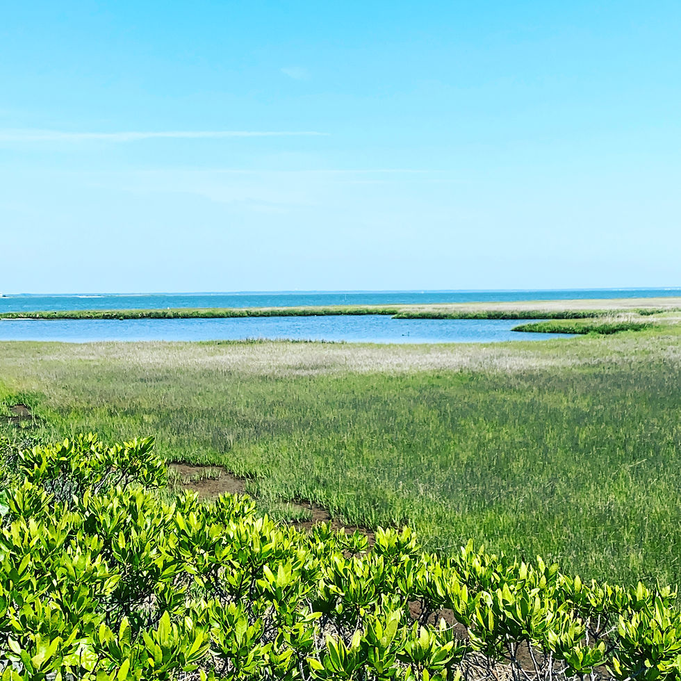 Long Beach Island Real Estate Weekly Home Sales Report August 9, 2026 - August 16, 2026