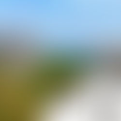 Haven Beach Real Estate Market Report — 2024