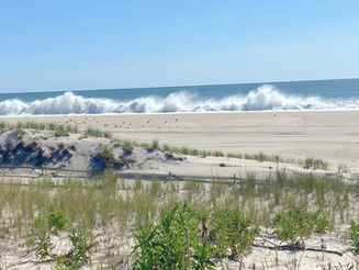 Learn the biggest FSBO mistakes in the LBI real estate market, including paperwork issues, disclosures, title problems, and contract risks.