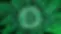 Bitcoin-Cryptocurrency-Placeholder.webp