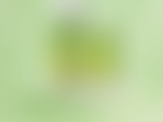 Essenze di Elda The Verde