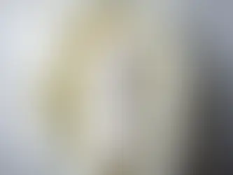 Le Essenze di elda - Luce