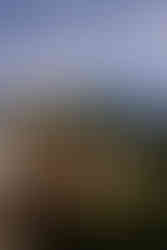 Dunkeld